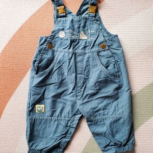 Vintage Mountain Explorer Overalls